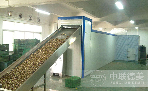 香蕉片烘干機