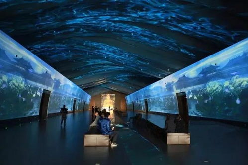 科技賦能，連接古今 探索博物館發展的新趨勢